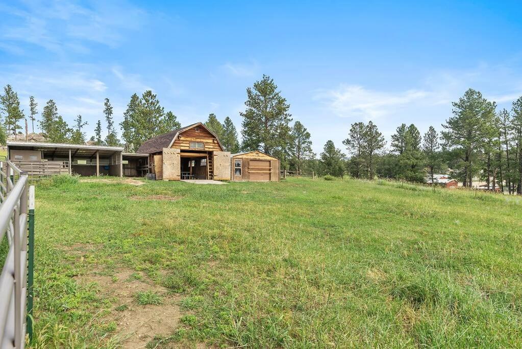 Papa'S Place On Willow Creek Custer Eksteriør billede