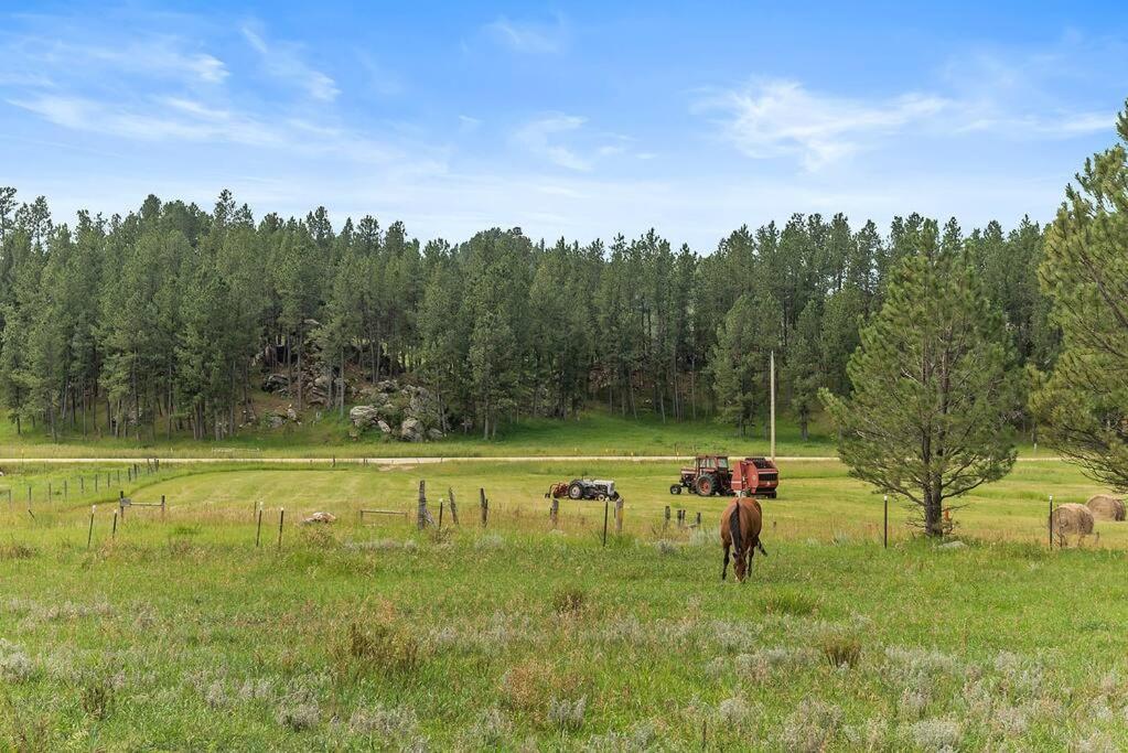 Papa'S Place On Willow Creek Custer Eksteriør billede